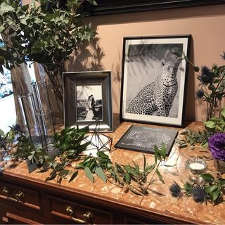 shokmt_hkさんの写真