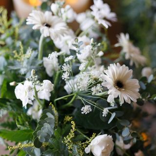 みーこさんの写真