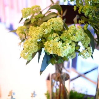 as25wedさんの写真