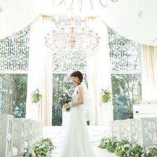 hibi316wdさんの写真