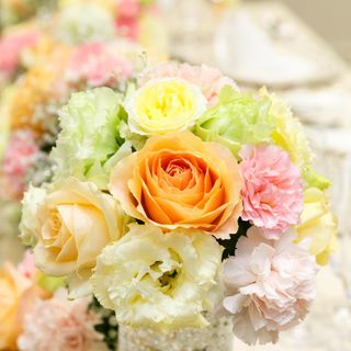 yuuumn.14さんの写真