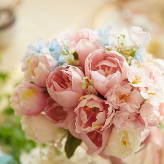 miiinsta.13さんの写真