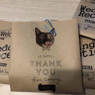 ymermgrさんの写真