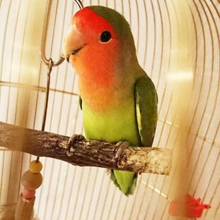 87_mykさんの写真