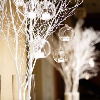 palace_autumn_iyさんの写真