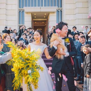 sugiura_koharuさんの写真