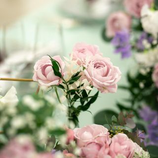 aichaaaan777さんの写真