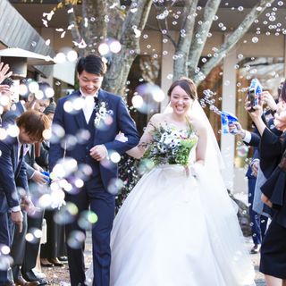 chise_02さんの写真