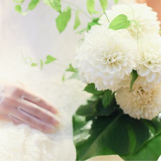 miku_wdさんの写真