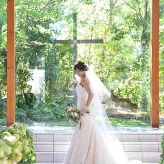 haru_wd_0902さんの写真