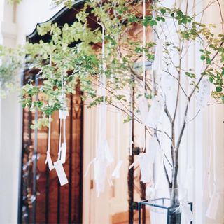 karintocosmeさんの写真