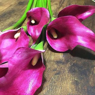 tm0526kbさんの写真