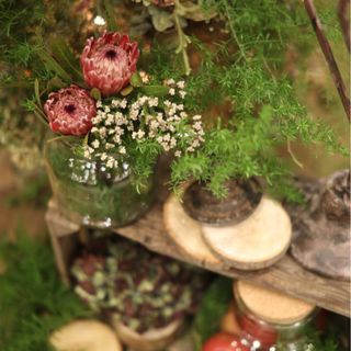 mini.mini54さんの写真