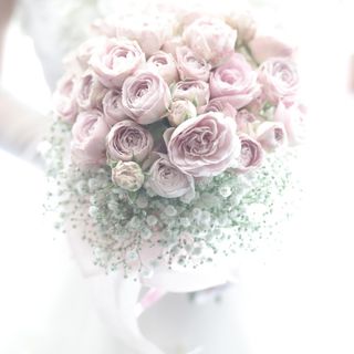 sakimero8さんの写真