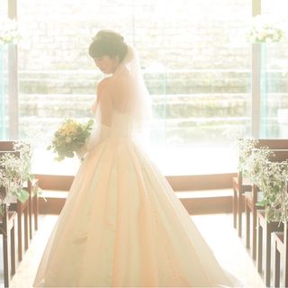 とんさんの写真