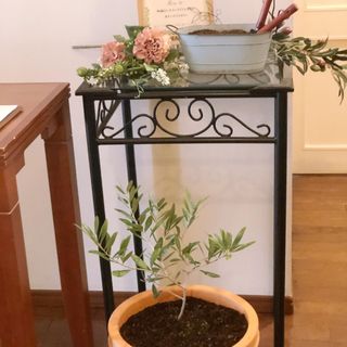 ayu_angeliquenailさんの写真