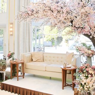 shii__wdさんの写真