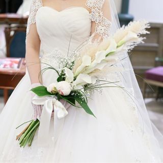 kr62_wdさんの写真