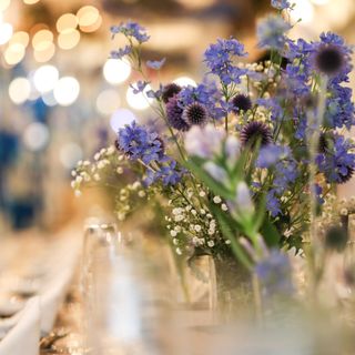 ame_tsubukoさんの写真