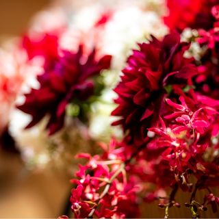 r_wd__さんの写真