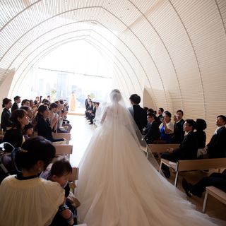 nogu_310_0210wdさんの写真