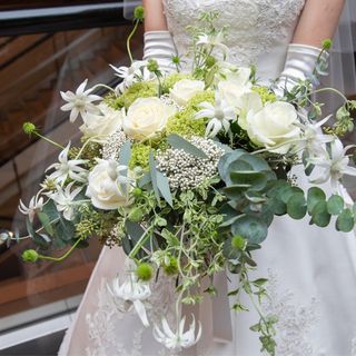 mugitoraさんの写真