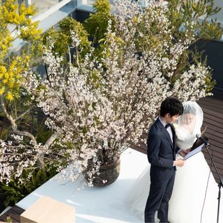 1616spさんの写真