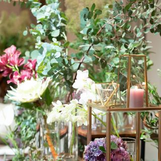 20200222.ssさんの写真