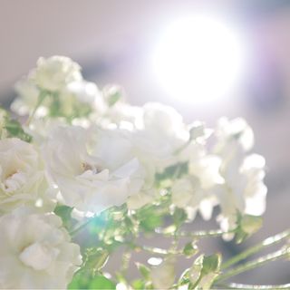 sue_wed0424さんの写真