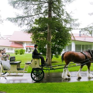 22milk_wedding22さんの写真