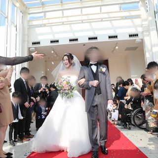 nekopioさんの写真