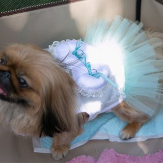 tomomiさんの写真