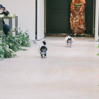 stp5353さんの写真