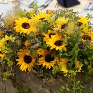 ayana814さんの写真