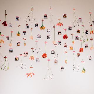 0__8705さんの写真