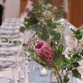 iii___peach5さんの写真