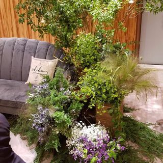 aaaaakikikikikiさんの写真