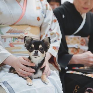 megwedding2020さんの写真