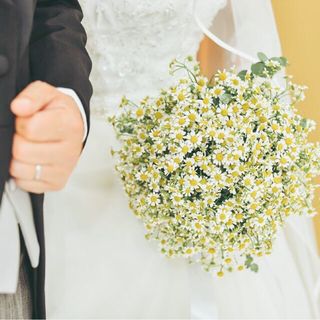 mnm_stkさんの写真