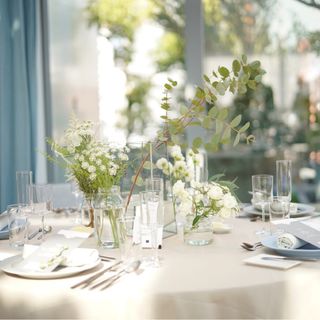 miyuki_hosokawa_さんの写真