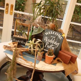 hipp0p0tamus916さんの写真