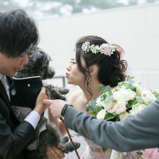 tkk06xoさんの写真