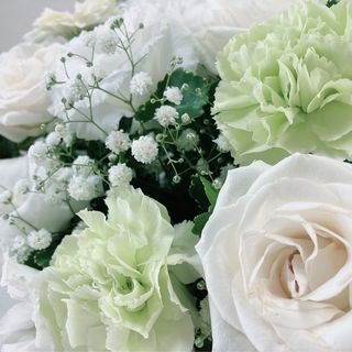 せいらさんの写真