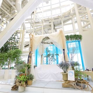 ともさんの写真