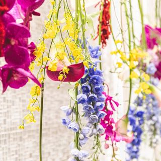 tokkytokkymaamさんの写真