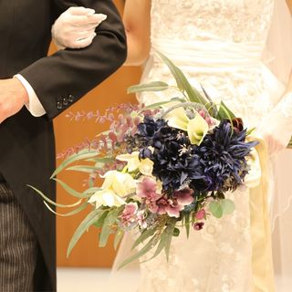 megu.wdさんの写真