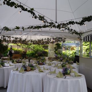 asukaさんの写真