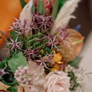 kaeru423さんの写真