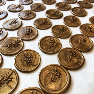 hy__wdさんの写真