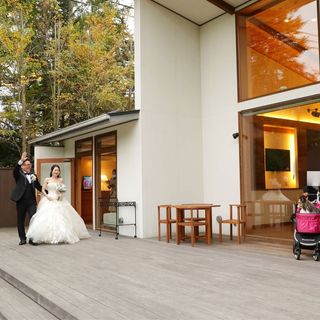 momo_sheltie3さんの写真